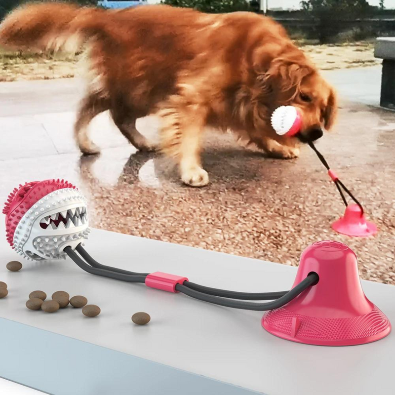 Brinquedo Cabo de Guerra com Porta Petiscos e Mordedor para Cachorro